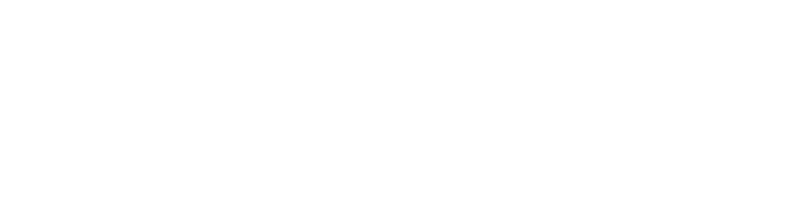 Logotipo Newcastle Idiomas
